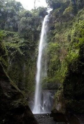 Mount Meru Waterfall surrounded by greenery and rocks