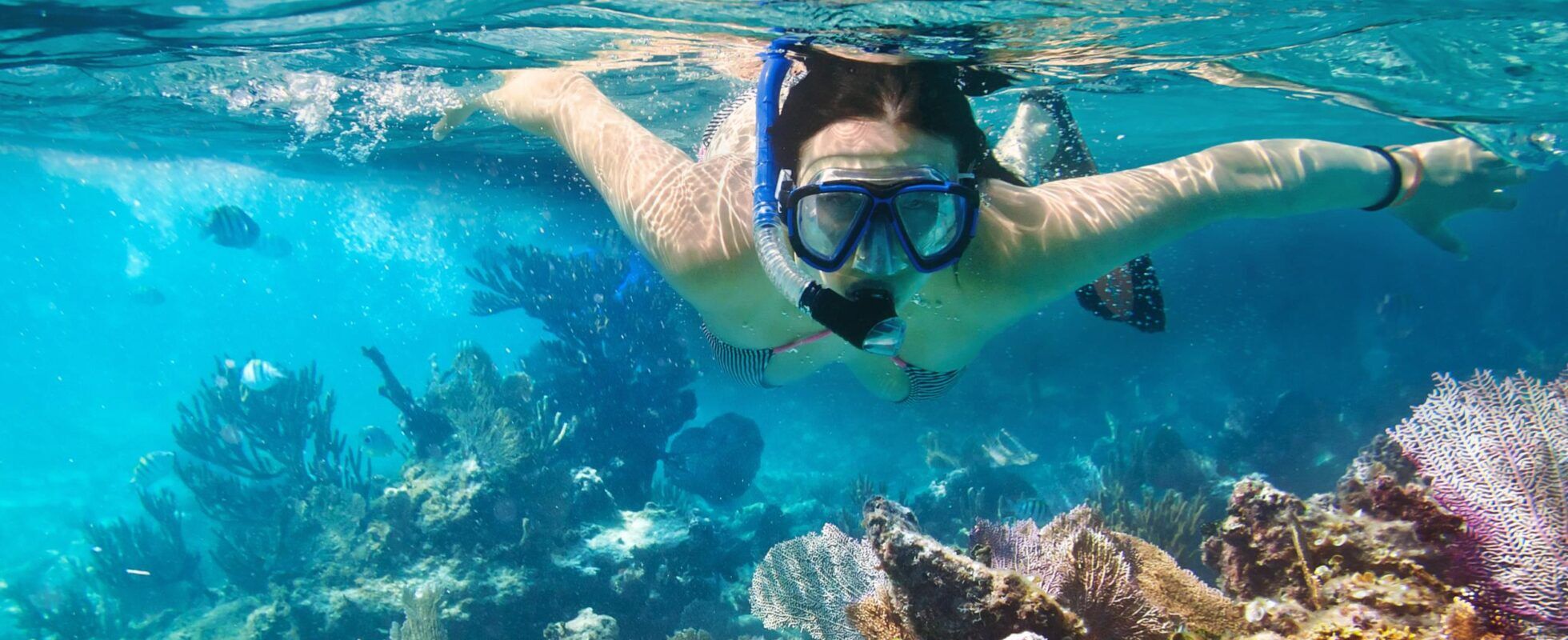 Woman with snorkel and diving goggles under water close to corals