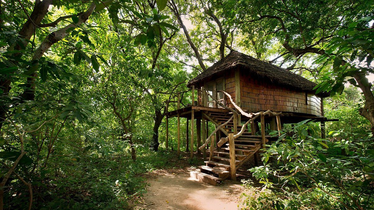 Wooden bungalow with stairs in the jungle of Lake Manyara