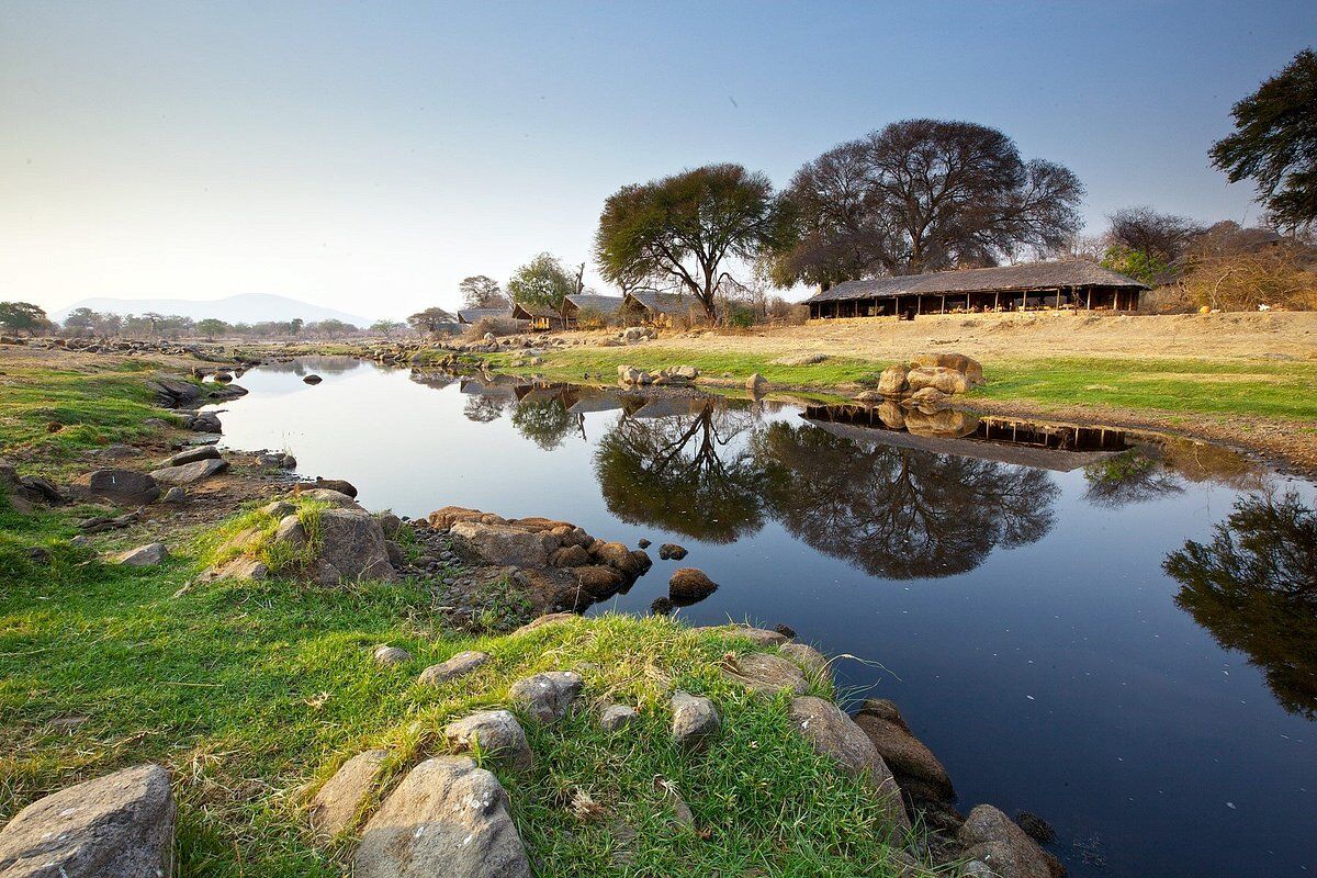 Ruaha River Lodge by Foxes Safari Camps