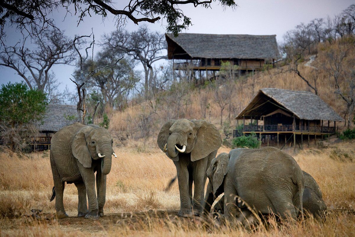 Stanley's Kopje Camp by Foxes Safari Camps