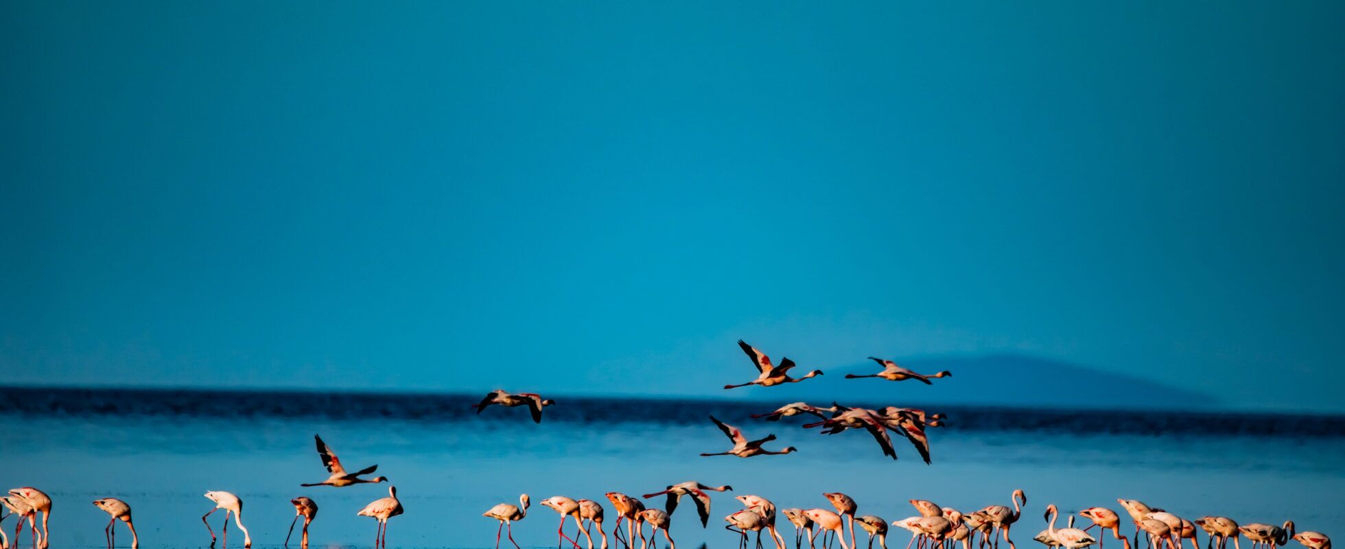 Lake Natron