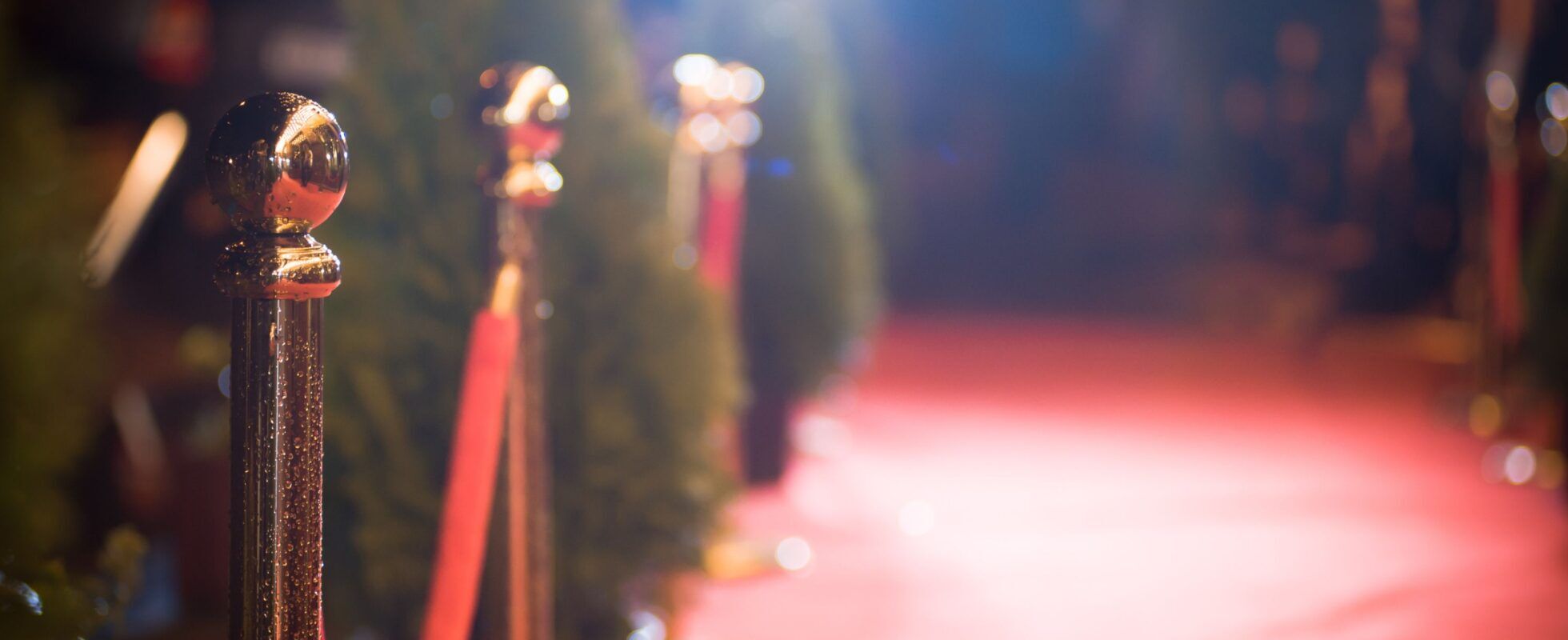 Red carpet next to bushes