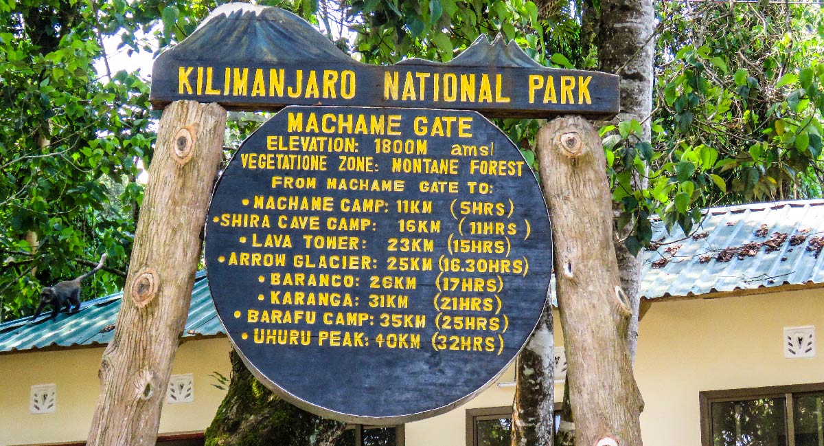 Machame Route (1/6) | Machame Gate (1,800 m/5,905 ft) - Machame Camp (2,835 m/9,301 ft)