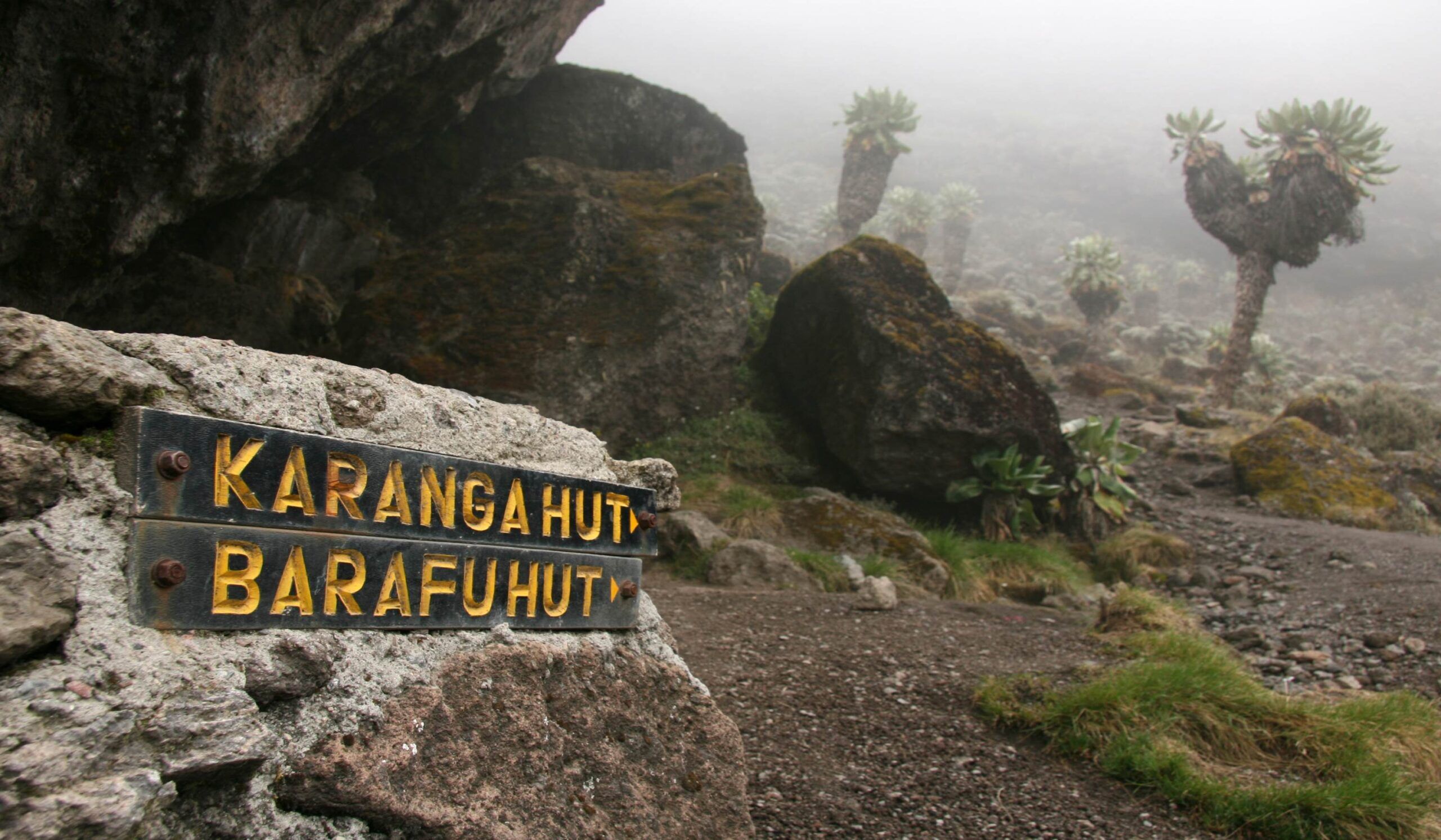 Lemosho Route (4/7) | Barranco Camp (3950 m/12,959 ft) - Karanga Camp (4,040 m/13,254 ft)