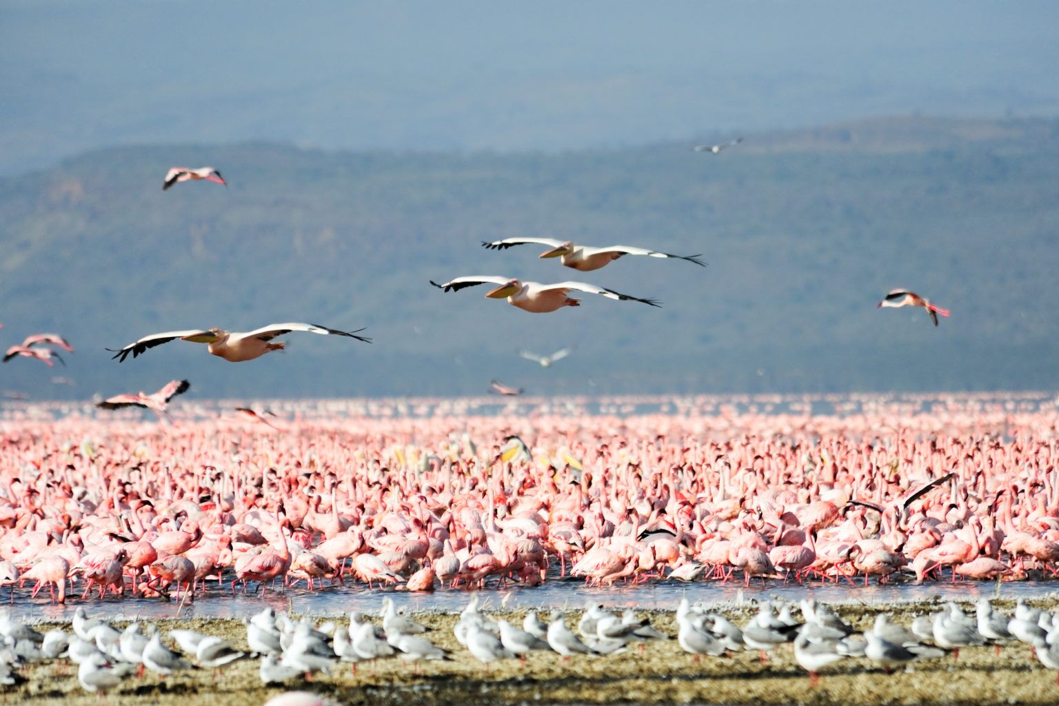 Lake Manyara National Park