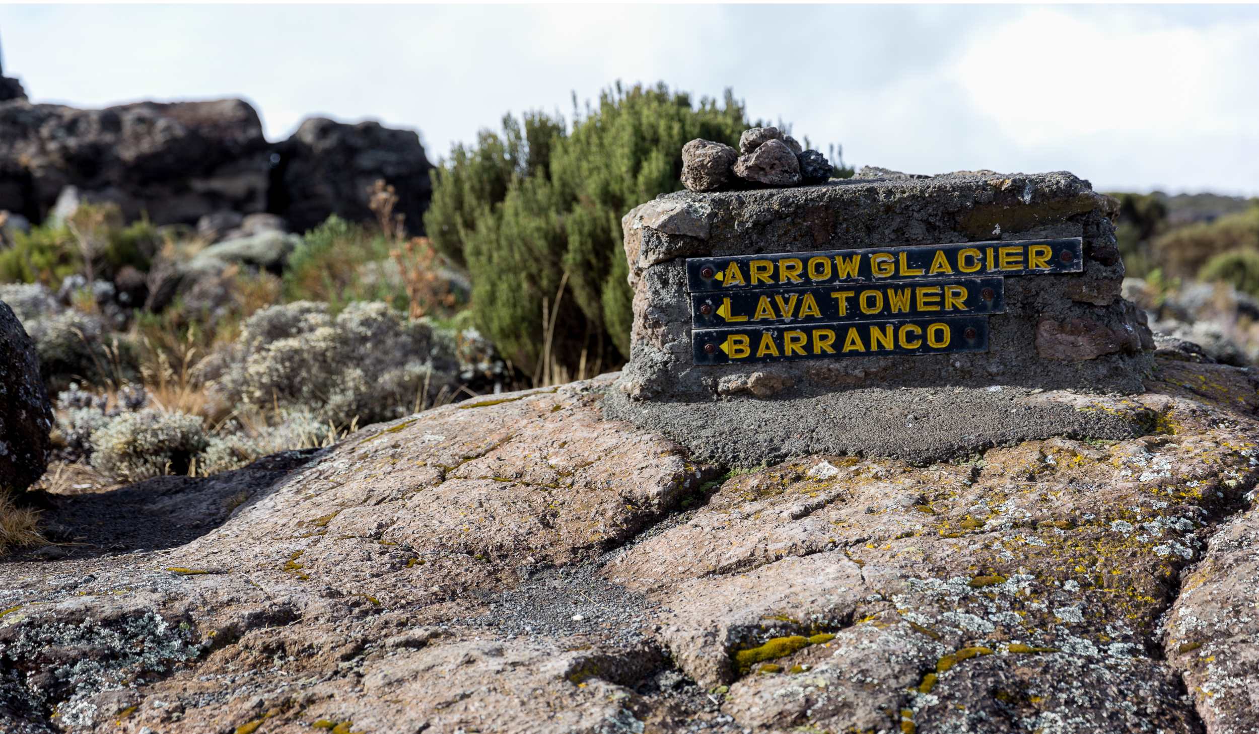 Lemosho-Shira Route (2/6) | Shira 2 Camp (3,890 m/12,762 ft) - Lava Tower (4,630 m/15,190 ft) - Barranco Camp (3,950 m/12,959 ft)