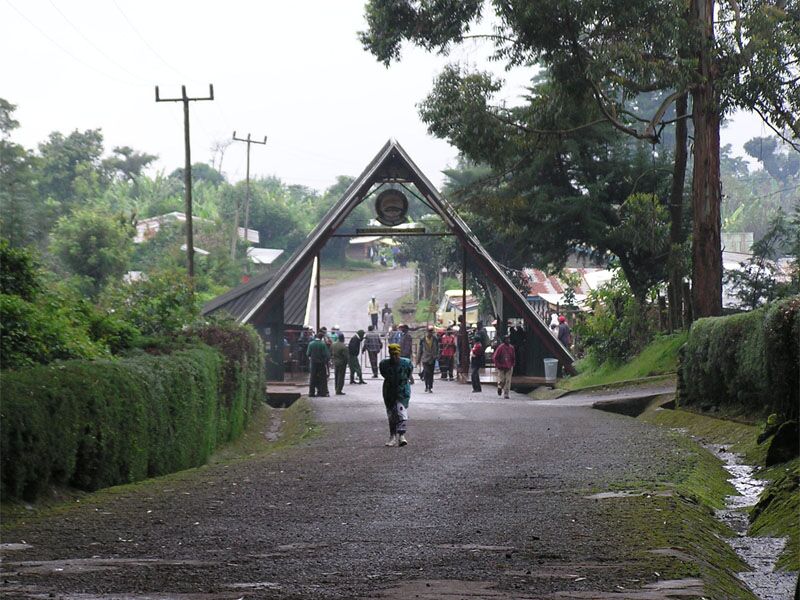 Marangu Route (5/5) | Horombo Huts (3,720 m/12,204 ft) - Marangu Gate (1,860 m/6,102 ft) - hotel