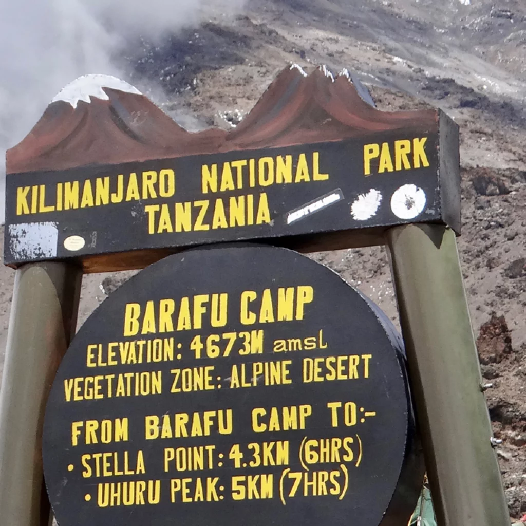 Lemosho-Shira Route (4/6) | Karanga Camp (4,040 m/13,254 ft) - Barafu Camp (4,645 m/15,239 ft)