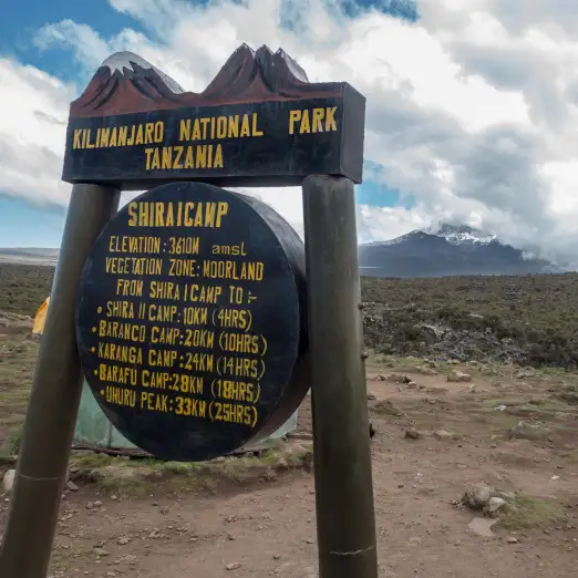 Machame route (2/6) | Machame Camp (2,835 m/9,301 ft) to Shira Camp (3,839 m/12,595 ft)