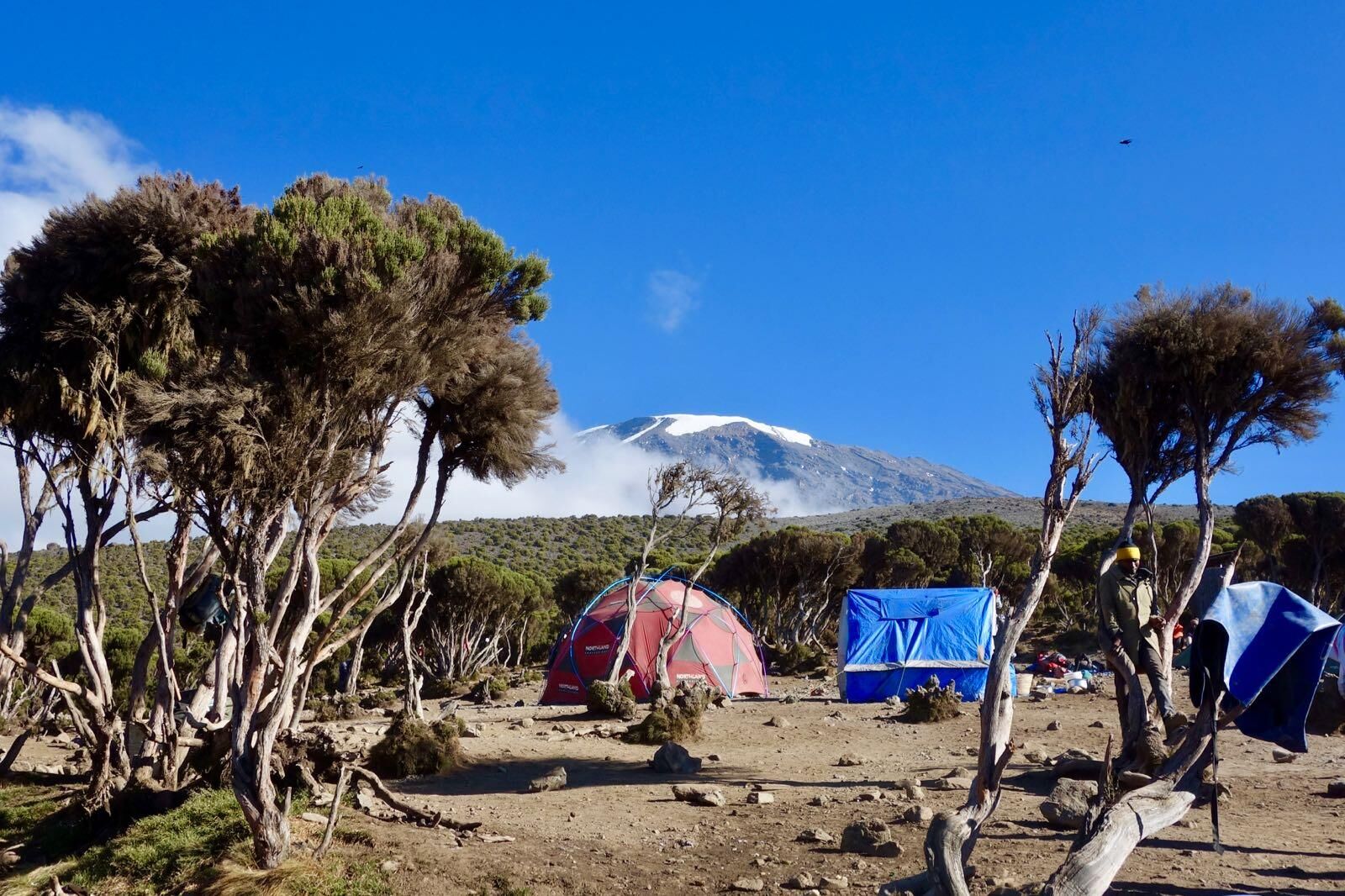 Machame route (5/6) | Barafu Camp (4,645 m/15,239 ft) - Uhuru Peak (5,895 m/19,340 ft) - Millennium Camp (3,820 m/12,532 ft)