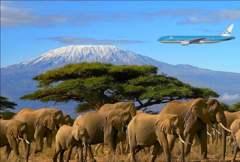 Arrival at Kilimanjaro International Airport for your climb