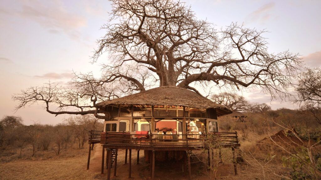 Tarangire Treetops by Elewana lodge tree house