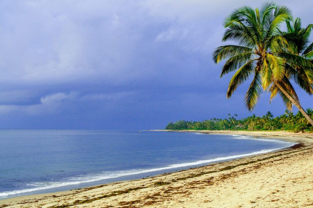 Beach of Pangani, Tanzania, with palm trees