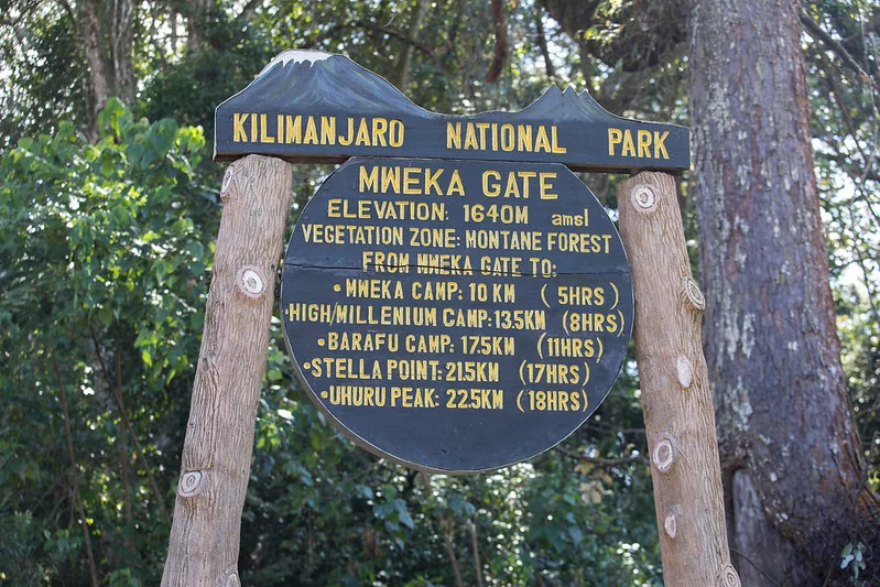 Lemosho Route (8/8) | Millennium Camp (3,820 m/12,532 ft) - Mweka Gate (1,640 m/5,380 ft) - Hotel