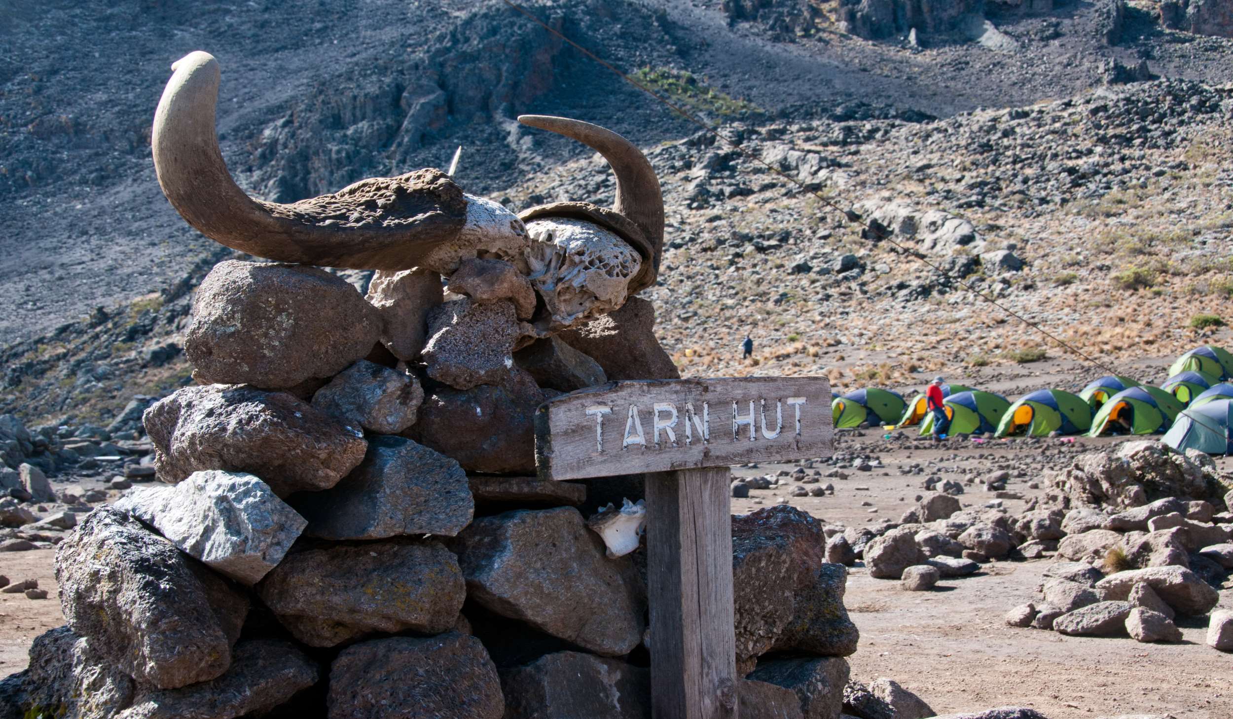 Rongai Route (3/6) | Kikelewa Camp (3,660 m/12,007 ft) - Mawenzi Tarn Camp (4,305 m/13,238 ft)