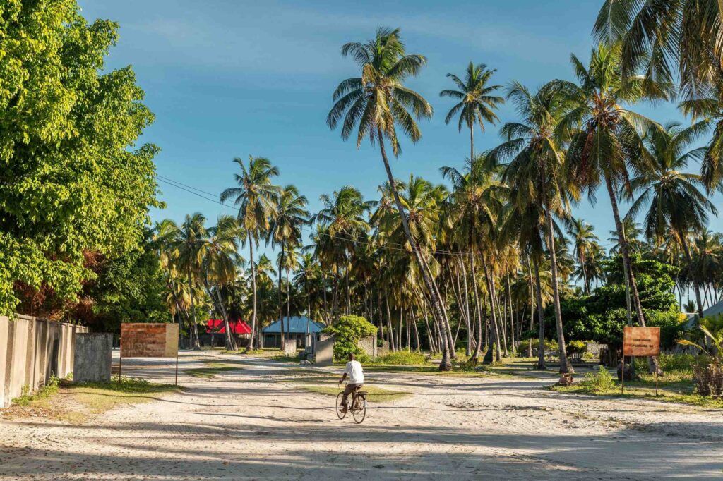 Man on a bike cycling through palm trees on Jambiani, Zanzibar