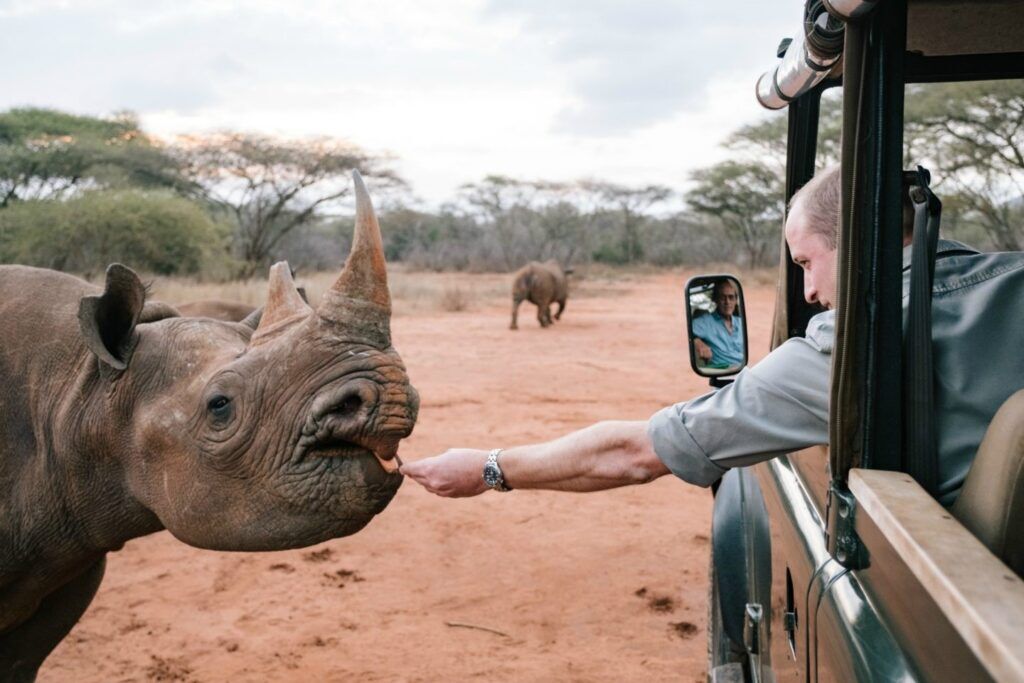 Mkomazi national park sanctuary