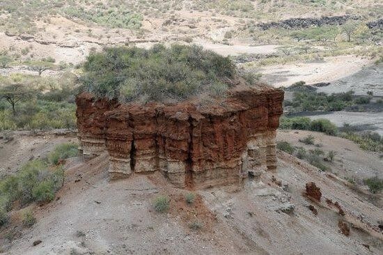 Ndutu Olduvai Gorge