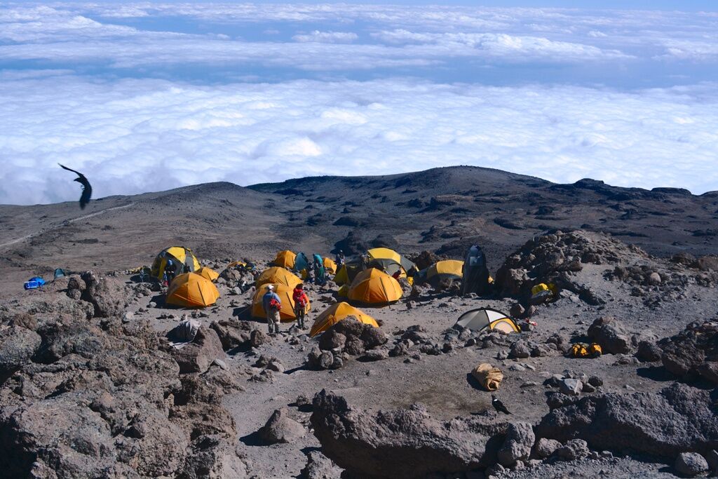 Machame route (4/6) | Barranco Camp (3,950 m/12,959 ft) - Barafu Camp (4,645 m/15,239 ft)