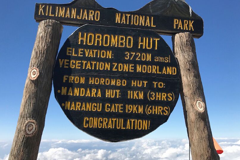 Marangu Route (2/6) | Mandara Huts (2,720 m/8,923 ft) - Horombo Huts (3,720 m/12,204 ft)