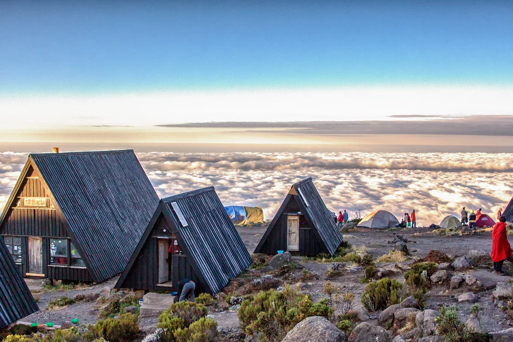 Marangu Route (2/5) | Mandara Huts (2,720 m/8,923 ft) - Horombo Huts (3,720 m/12,204 ft)