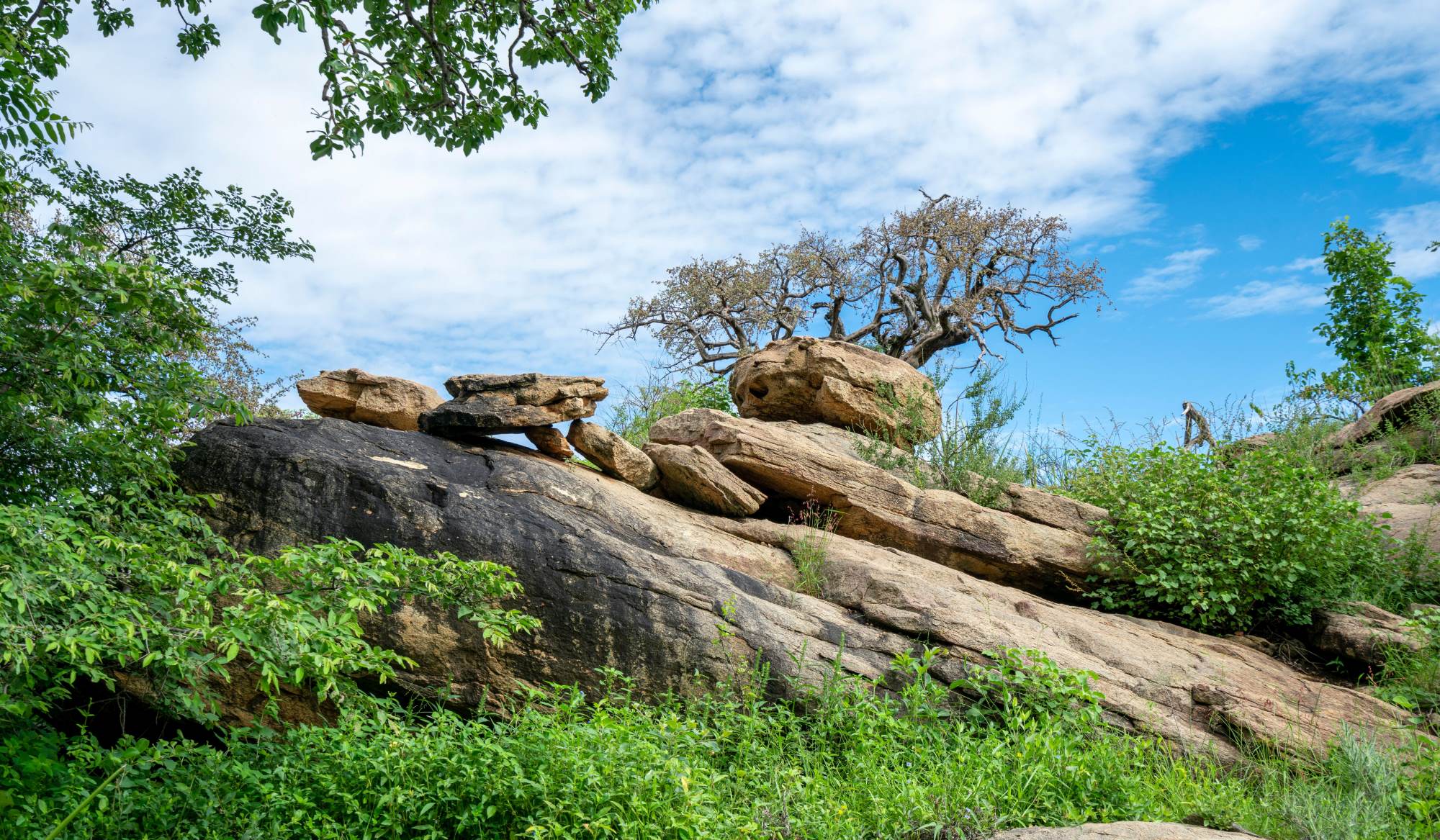 Visit Lake Eyasi and the Hadzabe tribe