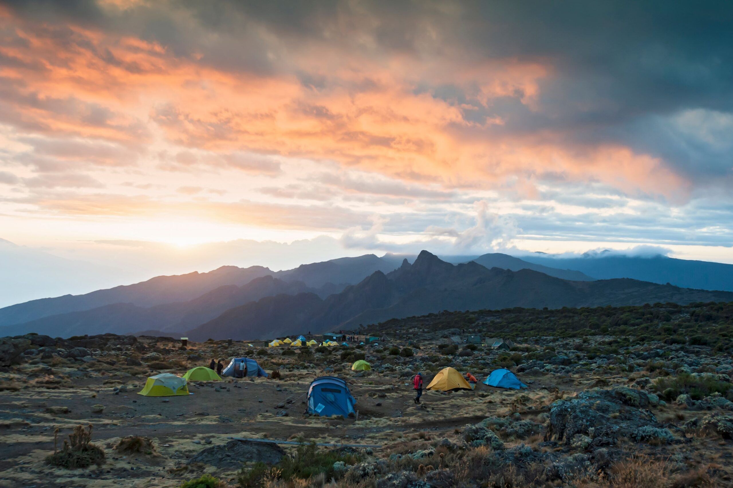 Northern Circuit (3/8) | Shira 1 Camp (3,510 m/11,515 ft) - Lava Tower (4,630 m/15,190 ft)