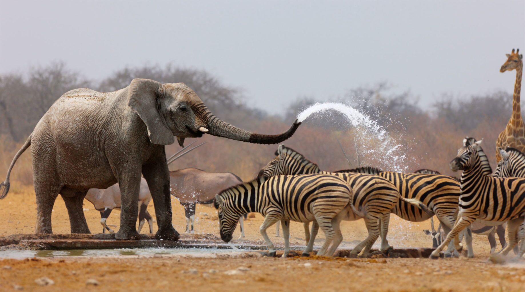 Arusha National Park