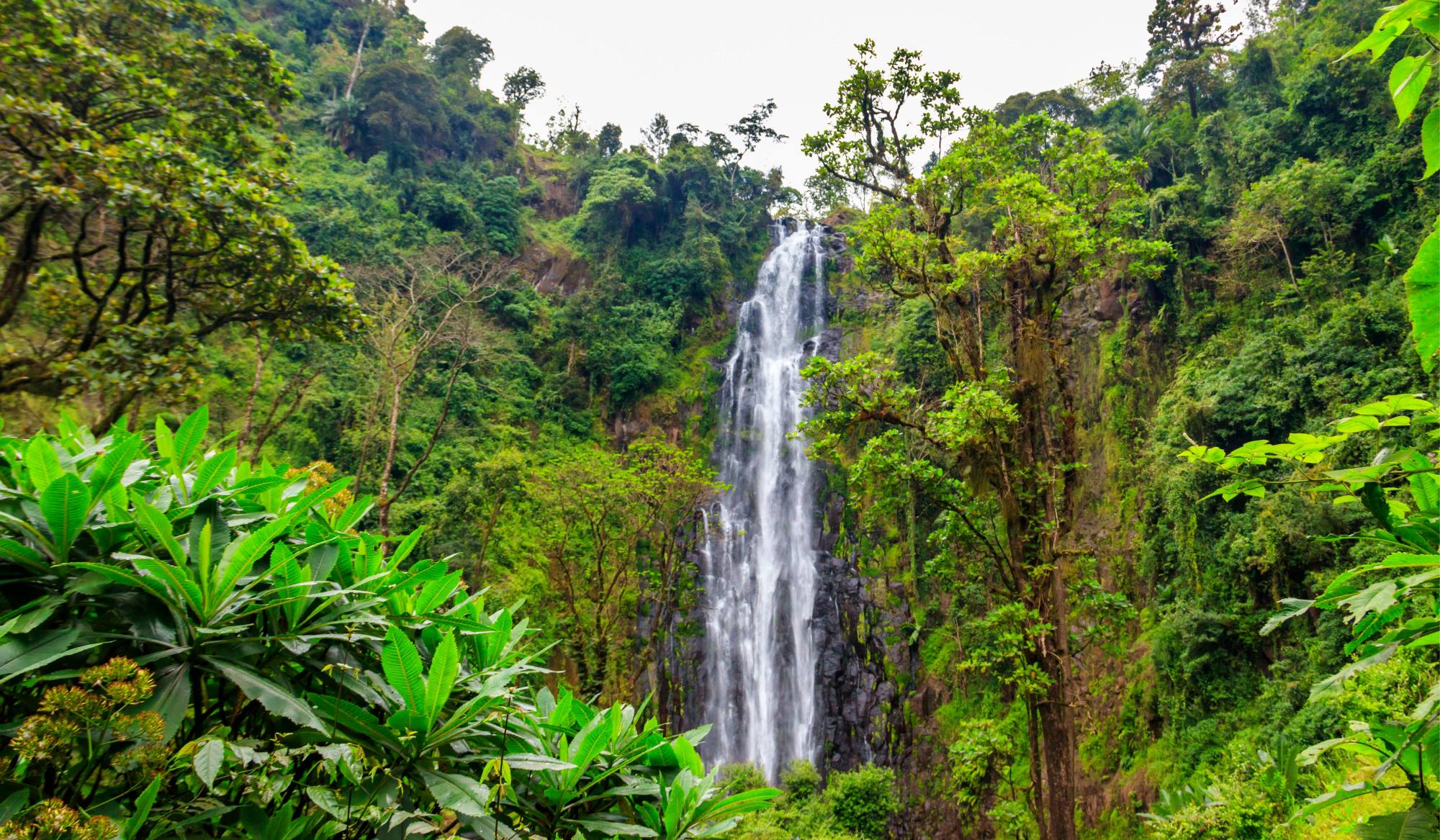 Walk from Materuni village to Kuringe waterfall