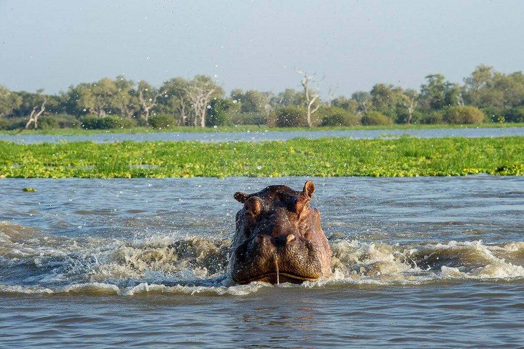 Nyerere National Park