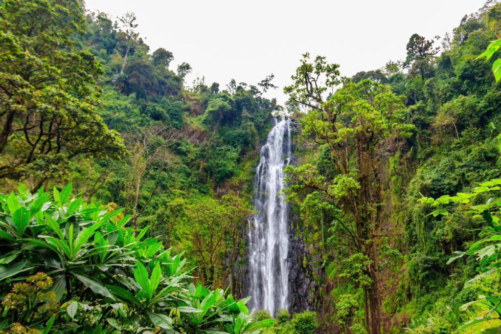 Materuni Waterfall in Moshi, Tanzania