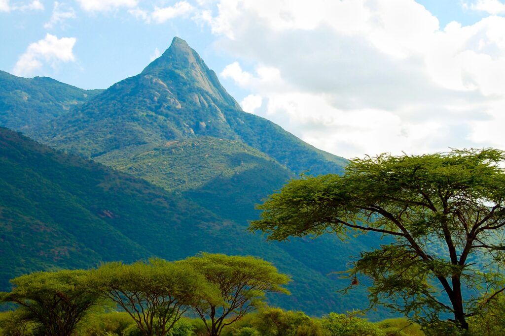 Mount Longido in Tanzania with acacia trees in front of it