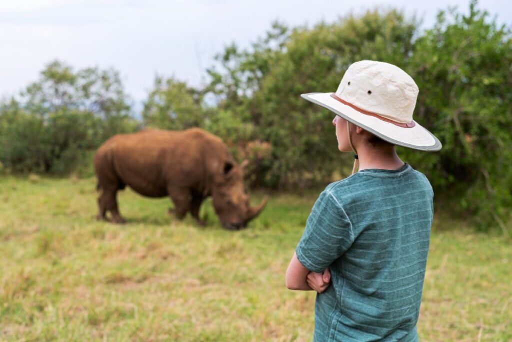 Child looking at a rhino during a safari