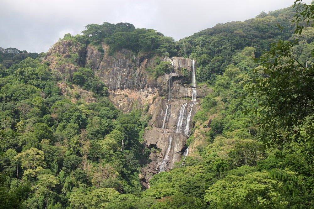 Saadani national park landscape