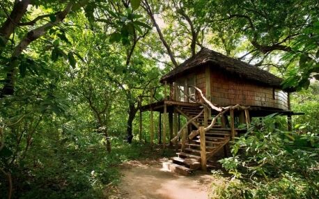 Wooden bungalow with stairs in the jungle of Lake Manyara