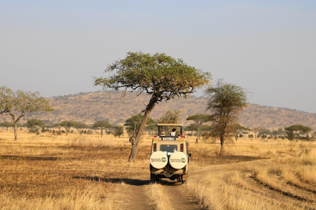 Dry season savannah Tanzania Specialist jeep