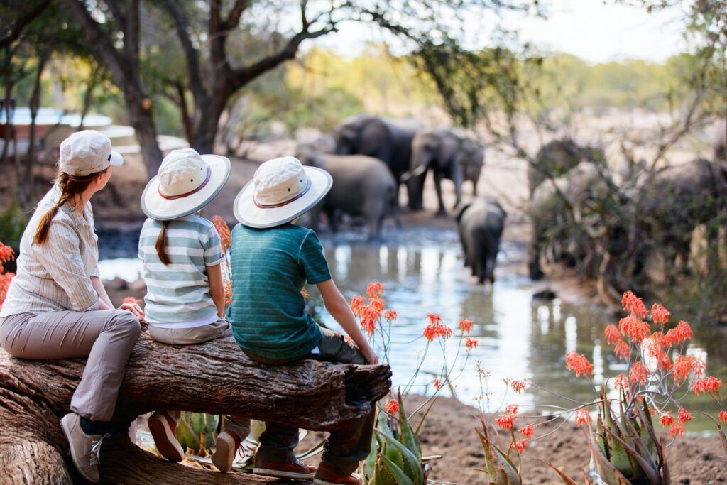 Family kids elephants