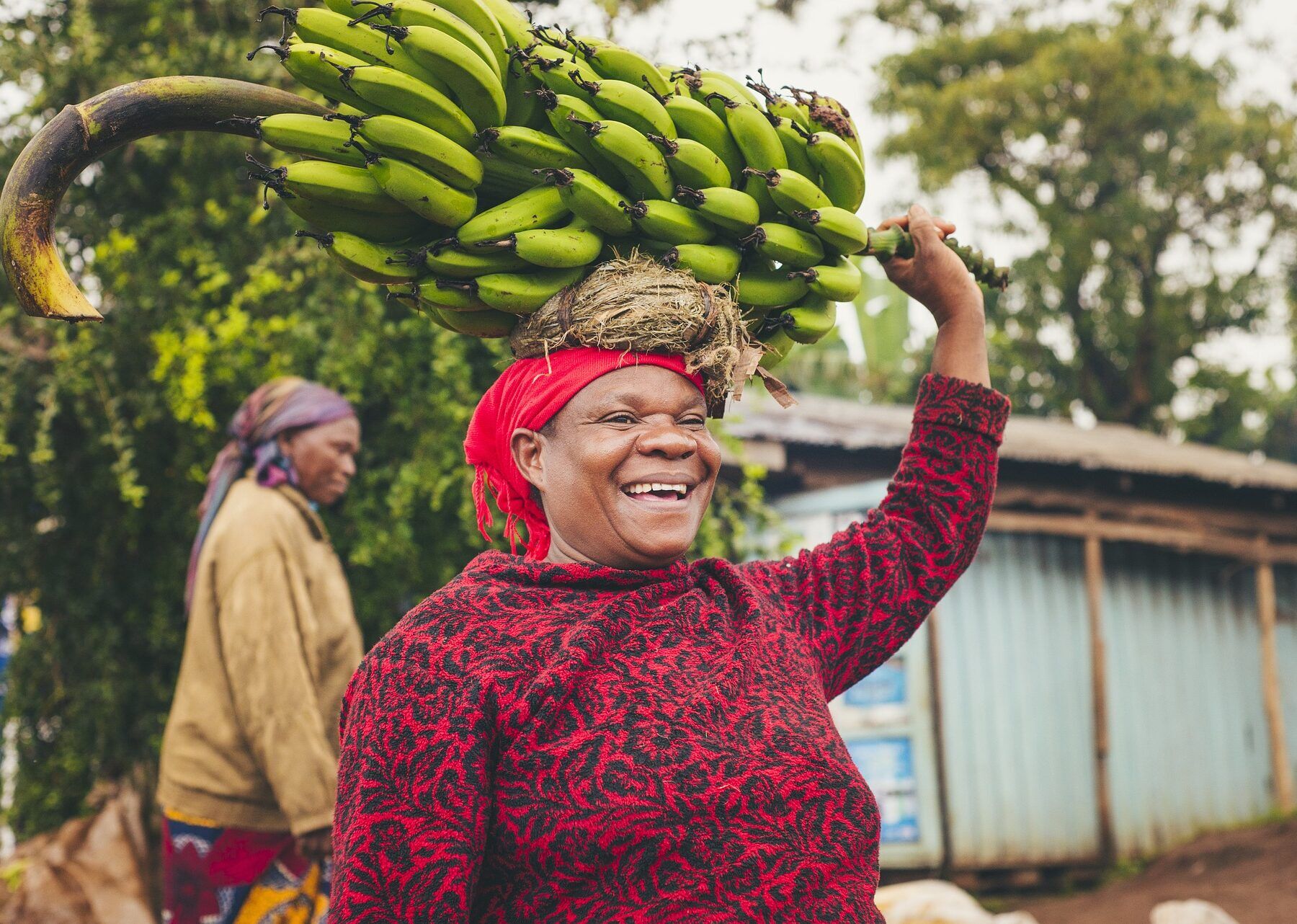 Woman in Tanzania carrying bananas on her head